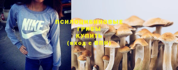 наркотики Алексин