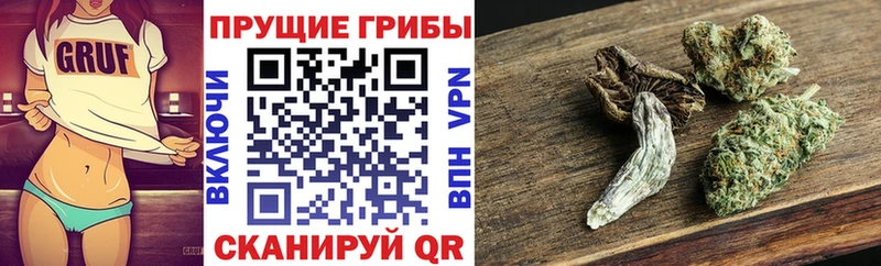 Галлюциногенные грибы Psilocybe  KRAKEN   Покачи 
